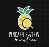 PINEAPPLE VIEW MEDIA PRIVATE LIMITED